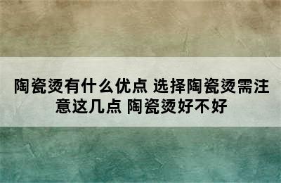 陶瓷烫有什么优点 选择陶瓷烫需注意这几点 陶瓷烫好不好